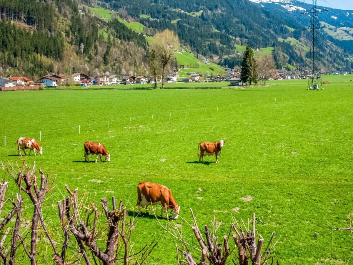 Beautiful Apartment In Ramsau With Balcony Ramsau im Zillertal Εξωτερικό φωτογραφία